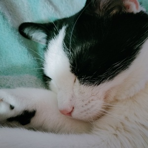 Fundraising Page: Jennifer Gates